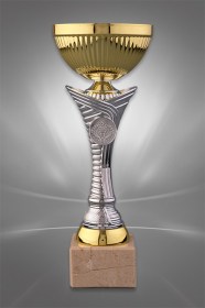 Cupe Sportive CE 01